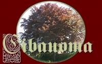 Logo von Eibauoma